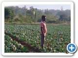 Sustainable Livelihood Program 