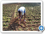Sustainable Livelihood Program 