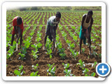 Sustainable Livelihood Program 
