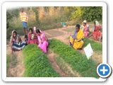 Sustainable Livelihood Program 