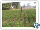 Sustainable Livelihood Program 