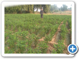 Sustainable Livelihood Program 