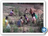 Family Counseling Centre 